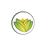 The Ayurveda Experience promo code
